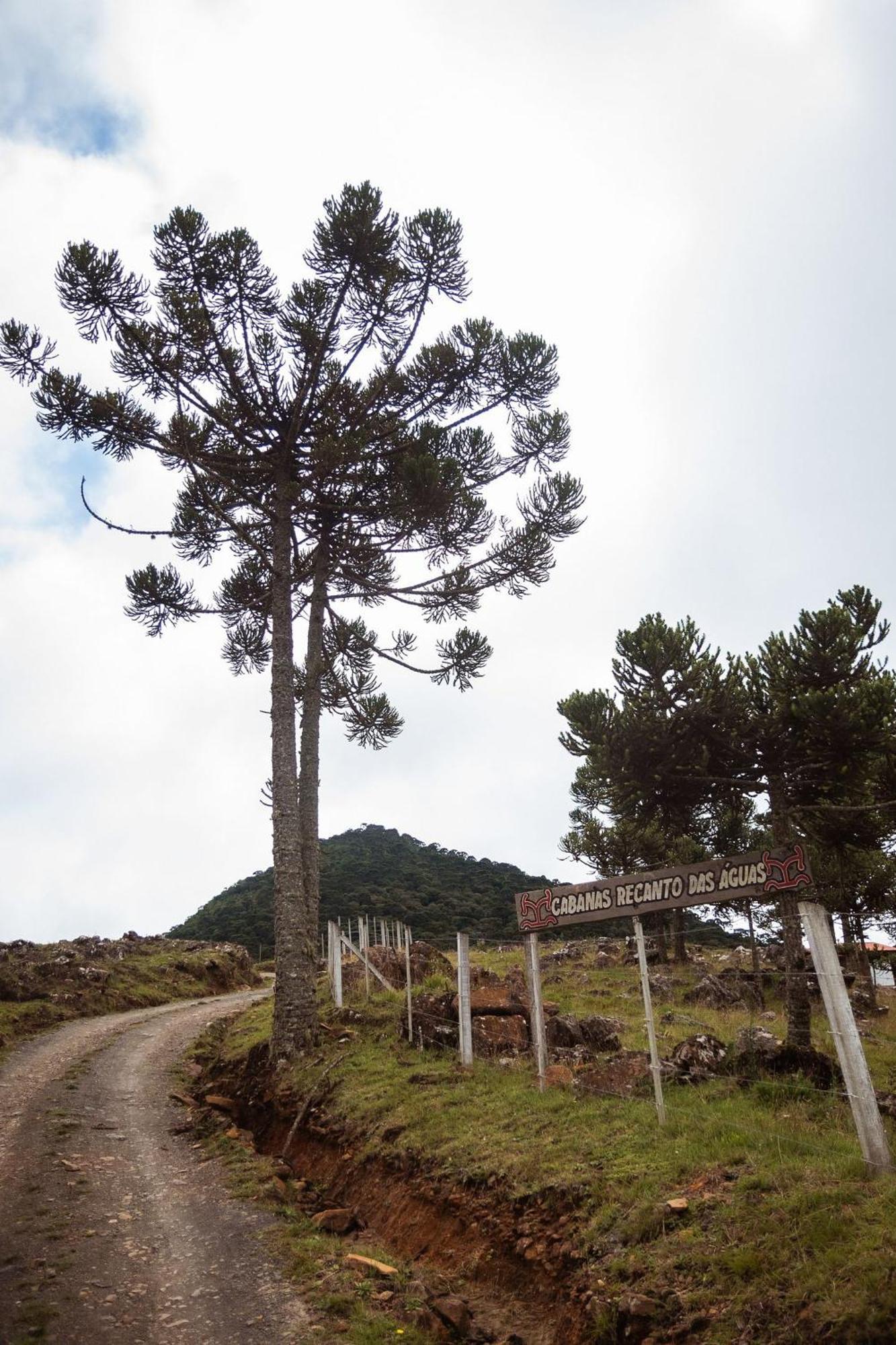 Recanto Das Águas Urubici Exterior foto